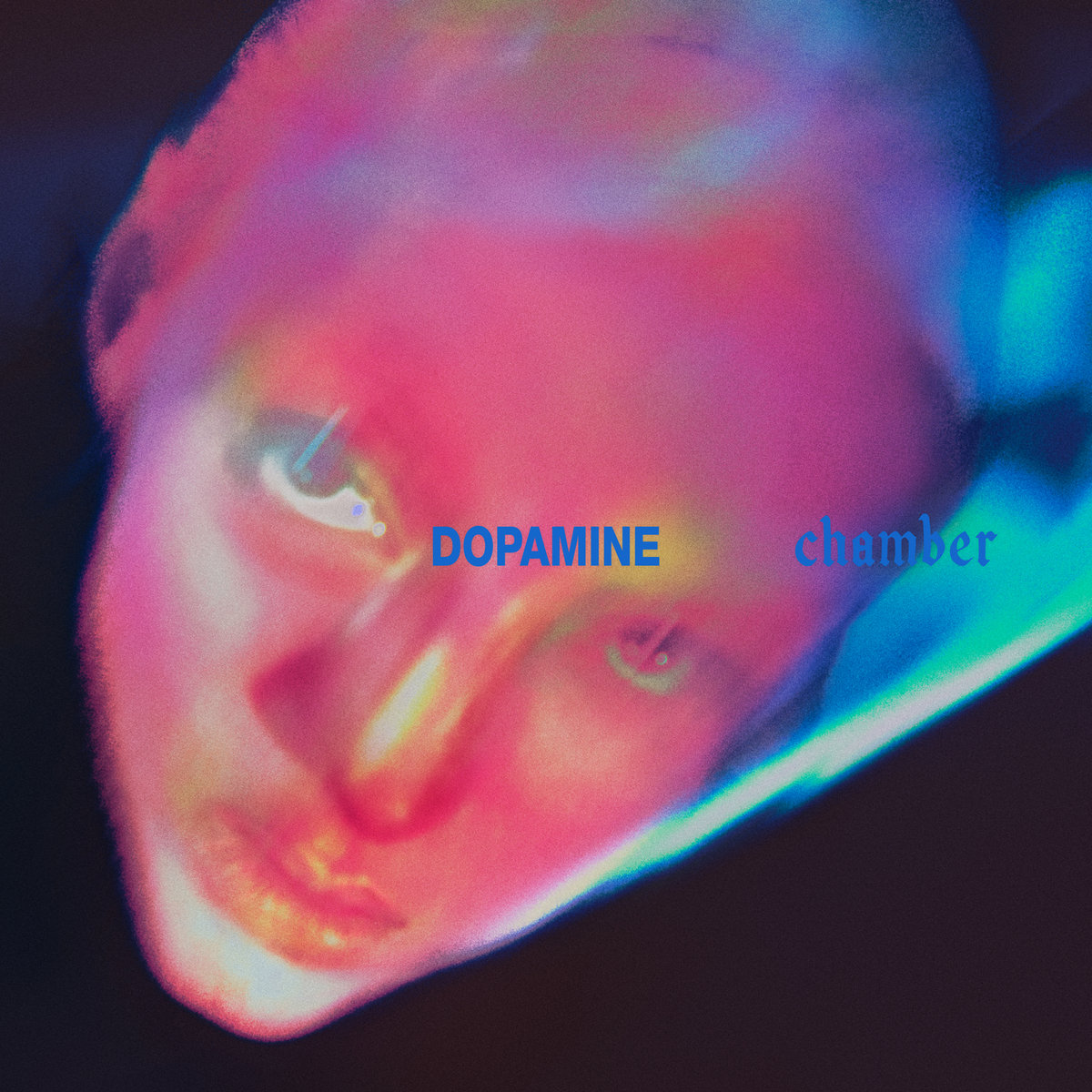 News from the Ooze: Fontaines D.C. open the Dopamine Chamber with Marianne